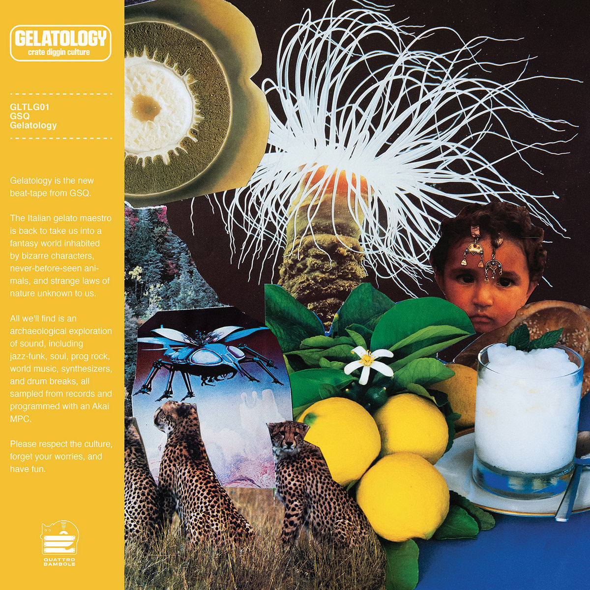 Gelatology