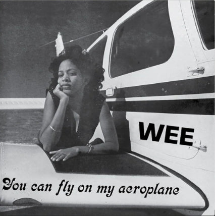 You Can Fly My Aeroplane